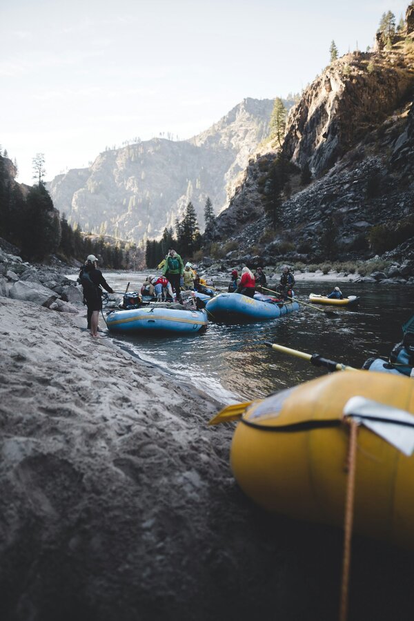 The Bot Mess on Public Lands